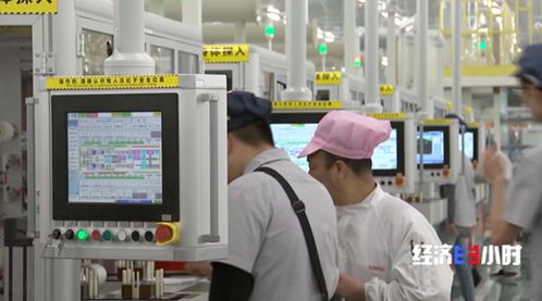 價格下降，熱度不減 中國光伏產業交出亮眼成績單，合肥企業如何借力騰飛